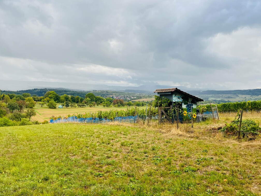 22-09-10 17-50-42 1968